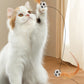 🎉Balle rebondissante interactive pour chat avec des plumes