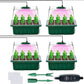 !🎉Seed starter trays with grow light