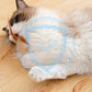 🎉Balle rebondissante interactive pour chat avec des plumes