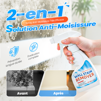 🔥Spray Anti-Moisissures Hautement Efficace - Empêche la Réapparition