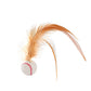 🎉Balle rebondissante interactive pour chat avec des plumes