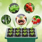 !🎉Seed starter trays with grow light