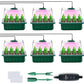🔥50 % de réduction jusqu'à épuisement des stocks !🎉Plateaux de semis avec lampe de croissancele stocks last!🎉Seed starter trays with grow light