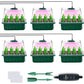 !🎉Seed starter trays with grow light