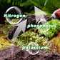 10g/200g Water Soluble Bloom Fertilizer for Flowers