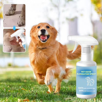 🔥Spray désodorisant pour animaux domestiques🐕