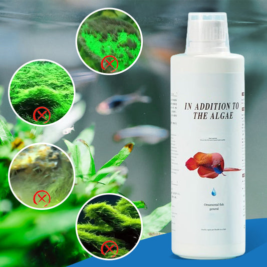 Algicide efficace pour aquarium🌿