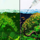 Algicide efficace pour aquarium🌿