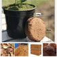 Vente à chaud ⏳Fibre de noix de coco biologique Terreau nutritif pour plantes