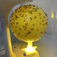 Boule piège à mouches des fruits adhésive avec support et LED