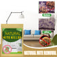 📢✨ PROMO ÉCLAIR&ACHETER 3 OFFERT 2  ! 🔥 Sachets Anti-Acariens Naturels✨