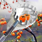 📢📢50 % DE RÉDUCTION !! ⏰Tête de cueille-fruits avec panier – Conception durable, fixation facile et parfaite pour atteindre les branches hautes sans échelle 🌳