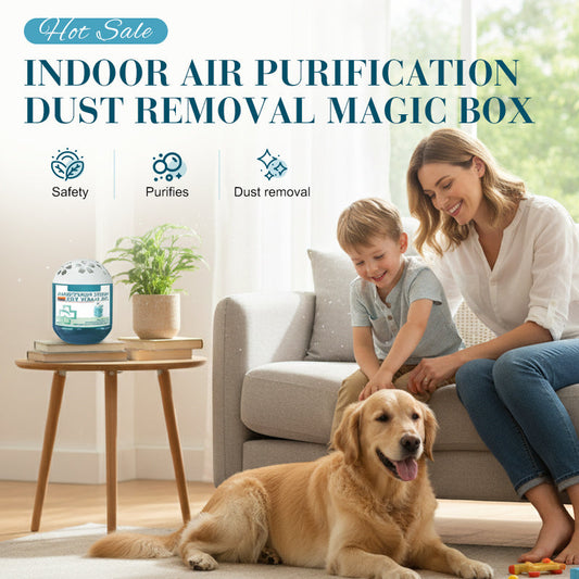 🏠🌿Boîte magique pour purifier l'air intérieur et éliminer la poussière