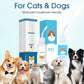 🐶 52% DE RÉDUCTION ! 🌿 Solution Nettoyante Auriculaire pour Chiens et Chats – Soulage les Démangeaisons, Nettoie en Douceur – Extraits de Plantes Naturelles & Formule Douce – Idéale pour les Oreilles Sensibles 🐱✨