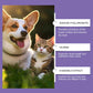🐶🐱Lotion oculaire douce pour chiens et chats