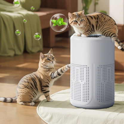 🌿Purificateur d'air pour la maison