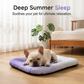 🐶🐱 Tapis rafraîchissant pour chiens et chats - Couverture d'été en soie glacée aux couleurs dégradées, coussin doux et respirant pour le couchage d'intérieur, les canapés et les voyages en voiture. Lavable. Plusieurs tailles disponibles.