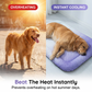 🐶🐱 Tapis rafraîchissant pour chiens et chats - Couverture d'été en soie glacée aux couleurs dégradées, coussin doux et respirant pour le couchage d'intérieur, les canapés et les voyages en voiture. Lavable. Plusieurs tailles disponibles.
