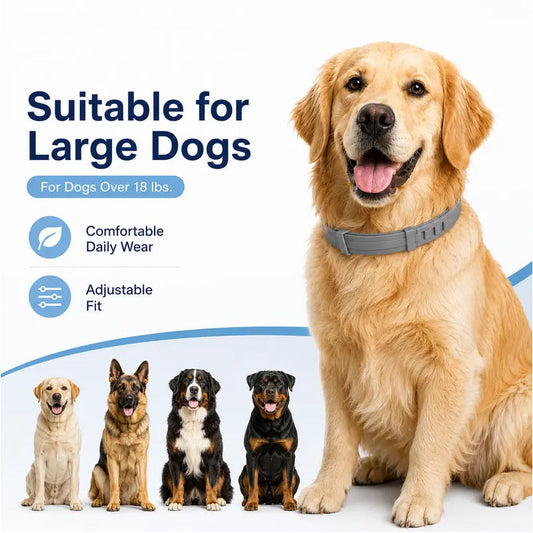 Colliers anti-puces et anti-tiques ajustables pour chiens et chats