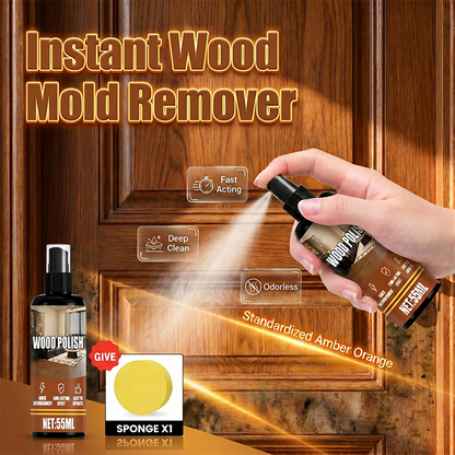🧴Spray anti-moisissures pour bois