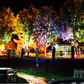 Anneau lumineux extérieur étanche IP65 pour arbres