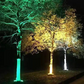 Anneau lumineux extérieur étanche IP65 pour arbres
