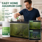 Comprimés anti-algues à action rapide pour aquarium