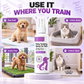 Spray d'apprentissage de la propreté pour chiens et chats