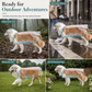 🔥-50% DE RÉDUCTION✨Imperméable transparent chien 🐶Avec capuche, tailles XS à 8XL, protège contre la pluie