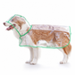 🔥-50% DE RÉDUCTION✨Imperméable transparent chien 🐶Avec capuche, tailles XS à 8XL, protège contre la pluie