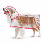 🔥-50% DE RÉDUCTION✨Imperméable transparent chien 🐶Avec capuche, tailles XS à 8XL, protège contre la pluie