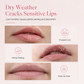 Essence hydratante pour les lèvres 15 g – Soin hydratant pour des lèvres douces et lisses