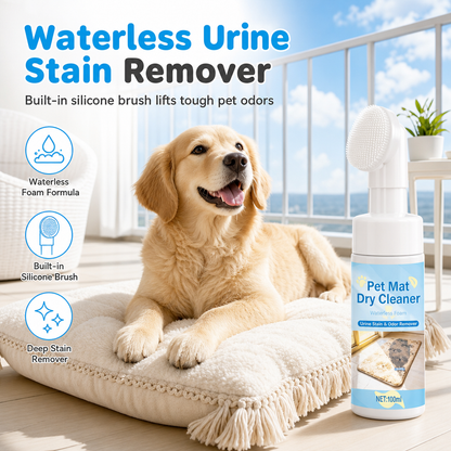 Détachant urine sans rinçage pour chiens et chats