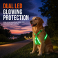 🥳VENTE FLASH 2026🥳💞Plus de 50 000 unités vendues !🍃🐾 50 % de réduction ! Harnais pour chien LED – Lumineux, clignotant et ajustable ✨