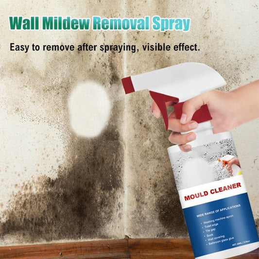 🔥Buy 3 Get 2 Free🔥Mould & Mildew Removing Foam Spray